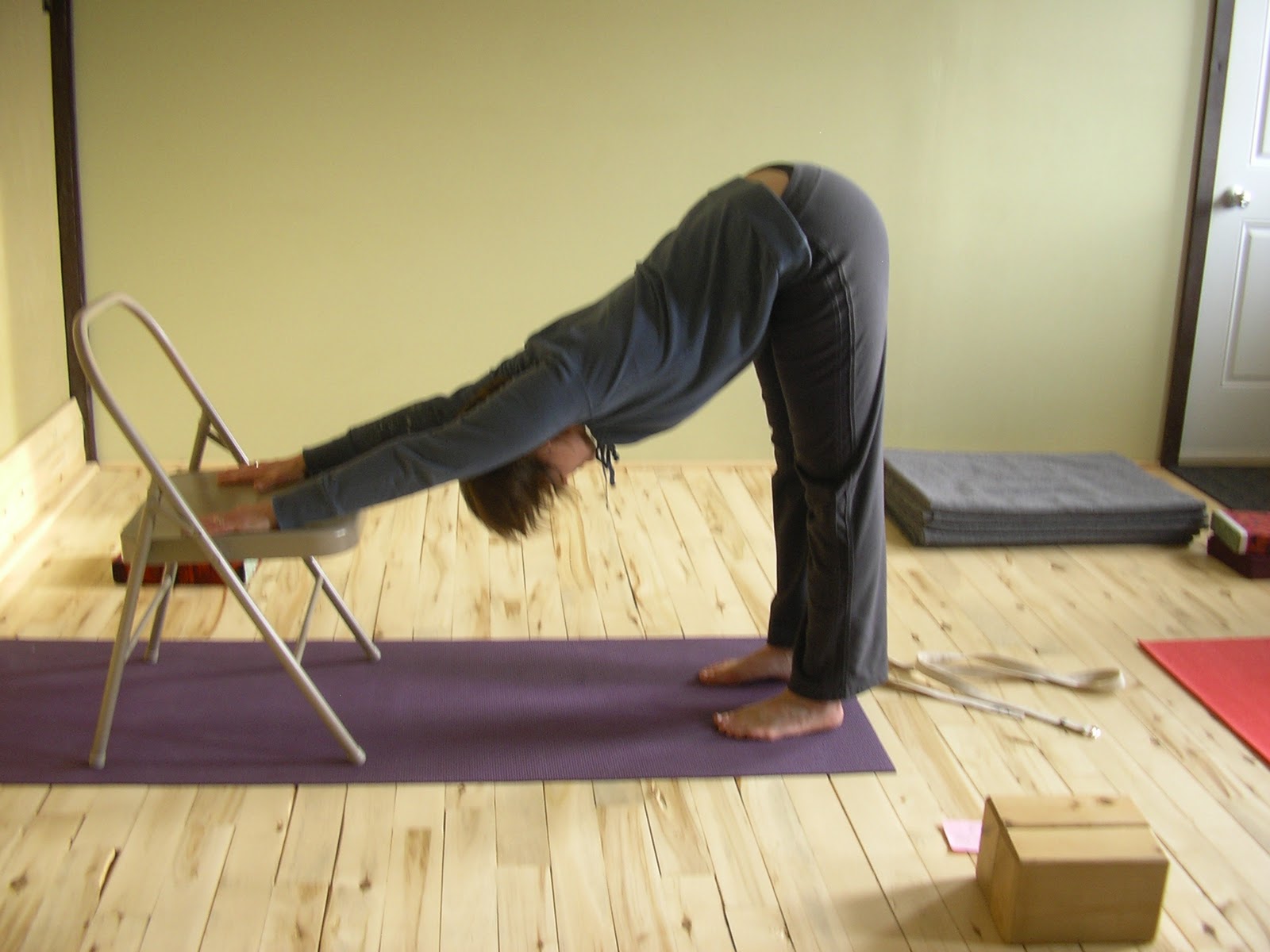 Back Care Basics — Chestnut Hill Yoga