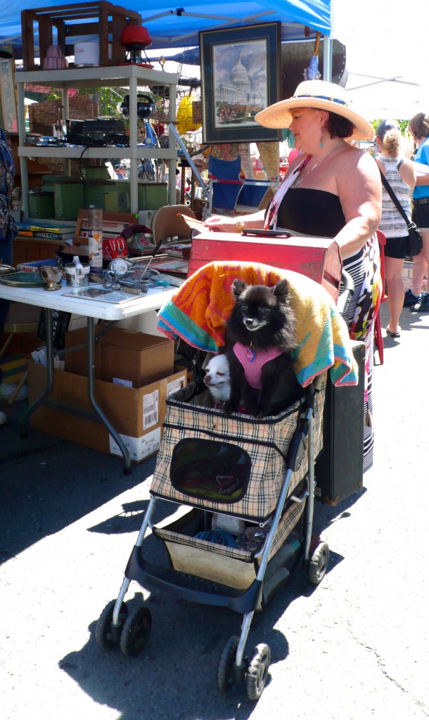 Seen earlier in the day at the Shipwreck Festival!
