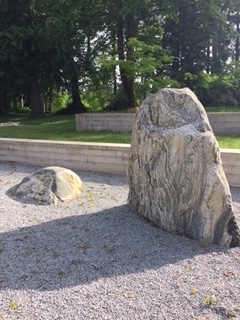 image6